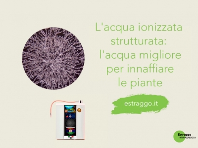 L'acqua ionizzata strutturata: l'acqua migliore per innaffiare le piante